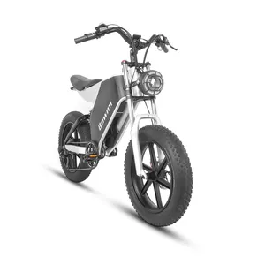 Bici moto elettrica per adulti bicicletta elettrica Ebike E-Bike grasso pneumatico Bicicleta Mountain Bike