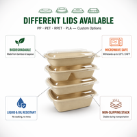 Vaisselle biodégradable écologique Assiettes jetables naturelles pour les célébrations de la fête verte