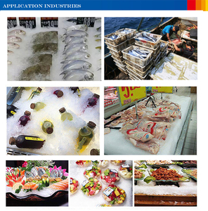 Máquinas Industriales para Hacer Hielo de 20 Toneladas, Máquina de Hielo en Escamas para Pescado - Product Image 3