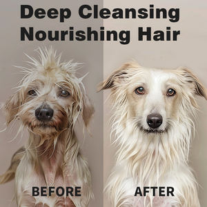 Grosir tisu basah hewan peliharaan lintas batas paket tunggal tisu perawatan pembersih tidak dicuci sekali pakai khusus kucing anjing - Product Image 4