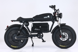 Bicicleta eléctrica de alta potencia de 1000W para adultos, bicicleta eléctrica de montaña de largo alcance con neumáticos gruesos, bicicleta todoterreno, motocicleta - Product Image 5