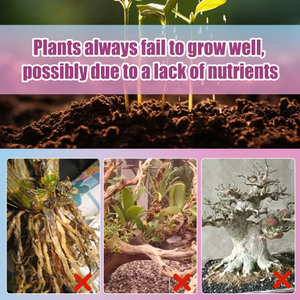 MoonSpry Premium 3-1-2 Spray liquide pour bonsaïs, plantes florales, <span class=keywords><strong>engrais</strong></span> <span class=keywords><strong>organique</strong></span>, nutriments - Product Image 3