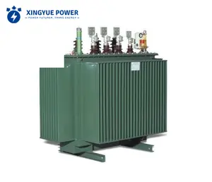 Transformateur d'électricité 10kV 30Kva 50Kva 75 Kva 100Kva 160Kva 200 Kva 250Kva 315Kva transformateur de puissance de type huile