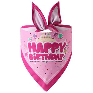 Batı köpek için sevimli prenses şapka seti mutlu doğum günü Bandana kek baskı ve katı tasarım parlayan yüzey ile her mevsim için - Product Image 2