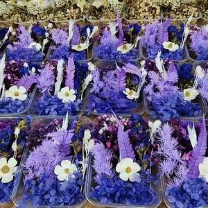 Kit de fleurs séchées naturelles blanches, boîte de matériaux de fleurs séchées préservées pour la fabrication artisanale de résine, la fabrication de bougies, la décoration de cadres <span class=keywords><strong>photo</strong></span> - Product Image 5