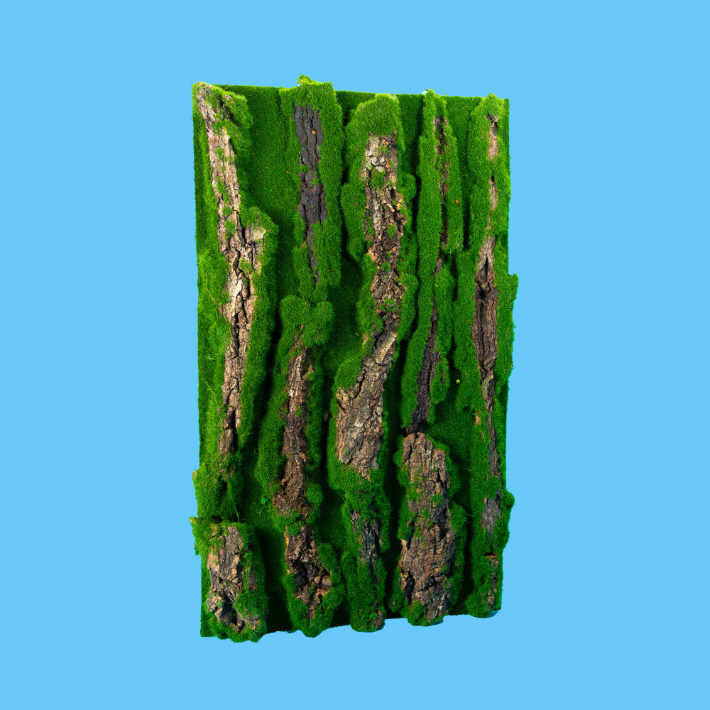3050