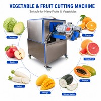 RVS groente halve snijmachine, commerciële snijmachine voor kool, appel, radijs, mango
