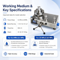 Brand Laboratory Piston Pressure Gauges Wide Range Digital Gauges 1 Year Warranty Customized Support (ODM/OEM/OBM)