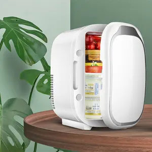 Tragbarer 6L Kühlschrank Aufbewahrungsbehälter Kosmetik Speisen Trinken Mini-Kühlschrank Auto Haushalt Kühler