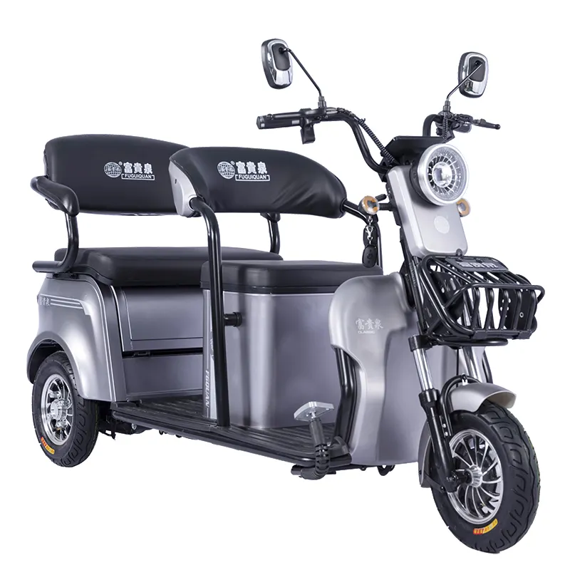 Two Seat Electric Tricycle Egypt Adult Tricycle