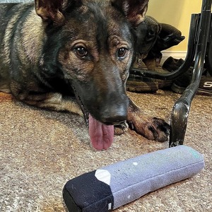 Jouet pour chien en peluche avec son, électrique, pour l'intérieur et l'extérieur, pour chiots qui font leurs dents - Product Image 2