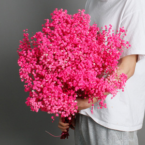 Decoración <span class=keywords><strong>flor</strong></span> seca conservada flores gypsophila <span class=keywords><strong>paniculata</strong></span> aliento <span class=keywords><strong>de</strong></span> bebé para diseño <span class=keywords><strong>de</strong></span> boda 120g - Product Image 4