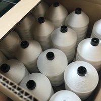 Fabricante Hilo industrial 210D/3 Hilo de coser de poliéster de alta tenacidad 1,5 kg Cono