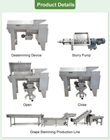 Elektrische druivenpers en -ontstemer |   Automatische fruit- en groenteverwerkingsmachines met hoge efficiëntie voor de wijnproductie