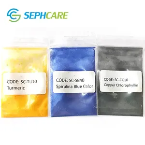 Bulk Colorant Natural Synthetic Food Grade Color Yellow Blue Green Powder Food Coloring Additives