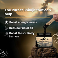 Supplément de pâte de résine de Shilajit de l'Himalaya pure OEM soutien immunitaire avec acide filvique et humique pour adultes