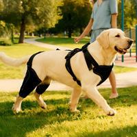 Attelles respirantes et réglables pour pattes arrière de chien – Soutien de la rotule pour chiens de taille moyenne à grande – Stabilité articulaire et prévention des blessures