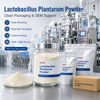 Poudre de Lactobacillus Plantarum de qualité alimentaire pour la fermentation, service OEM de probiotiques, certifié GMP, approvisionnement en vrac