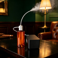 Diffuseur d'huiles essentielles électrique commercial en métal pour aromathérapie, 500 ml, sans eau, contrôlé par application, garantie 1 an, pour la maison