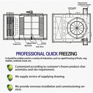 Machine de surgélation rapide IQF, congélateur à choc, congélateur spirale, congélateur Humberg, congélateur spirale simple pour homard et crevettes - Product Image 2
