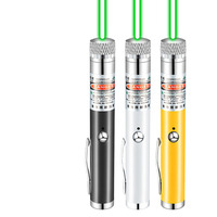 Charge USB rechargeable portable 532nm faisceau de lumière verte pointeur laser pour animaux de compagnie