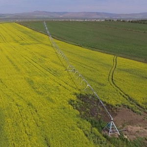 Quattro Ruote Lineare Movimento di Irrigazione Sistema di Irrigazione Laterale/Spostare Impianti di Irrigazione in Vendita - Product Image 3