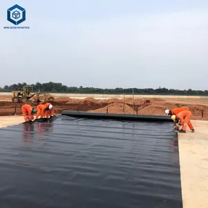 60 mil Hdpe Geomembrane 2mm Hdpe Roll in South Africa for Mining Project
