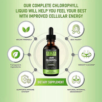 Vente en gros OEM, Marque privée, en vrac : Sirop aqueux, Complément Splina en vrac 6000 mg, Gouttes de menthe, Chlorophylle liquide