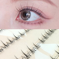 Cils en éventail sans colle, aspect naturel, cils inférieurs de type mère, petites flammes, grappes individuelles segmentées pour débutants