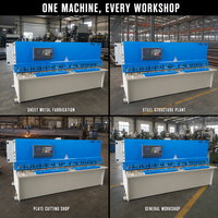 Cisaille CNC hydraulique à bras oscillant, vente directe, petite cisaille guillotine CNC pour métaux
