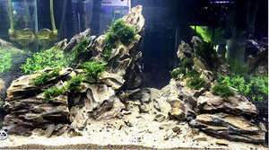 Acquario arancione <span class=keywords><strong>drago</strong></span> artificiale pietra di <span class=keywords><strong>roccia</strong></span> - Product Image 5