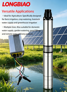 Bomba de agua solar sumergible LEI de 3 pulgadas DC24-280V para pozos profundos, 250W-2200W, de alto flujo, fuera de la red, para riego agrícola - Product Image 2