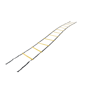 Rising Fitness <span class=keywords><strong>Escalera</strong></span> de agilidad de <span class=keywords><strong>gimnasio</strong></span> personalizada y conos de entrenamiento Equipo de entrenamiento Premium para entusiastas del fitness - Product Image 4