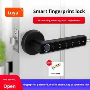 Graffiti Im Lặng Cửa Gỗ Văn Phòng & Căn Hộ Một Tay Mở Kẽm Hợp Kim Key Cho Tuya Ứng Dụng & Vân Tay Mật Khẩu Khóa Đám Mây - Product Image 5