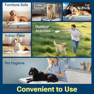 Tapis d'apprentissage pour chiots en charbon de bambou, super absorbants, imperméables, jetables, anti-fuites, 6 couches, pour l'entraînement des chiots - Product Image 5