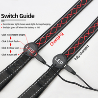 Collier et laisse pour chien brodés à LED, vente en gros d'usine, accessoires lumineux pour animaux de compagnie, motif rayé réfléchissant, polyester, tendance