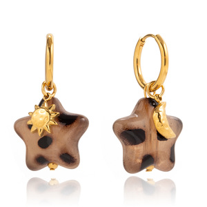 Boucles d'oreilles pendantes étoile imprimé léopard en acier inoxydable plaqué or 18 carats pour femme - Product Image 5