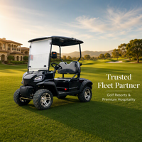 Carrito de Golf Eléctrico de Dos Plazas, Motor de CA de 4KW, 60V, Alcance de 80-100KM, para Campos de Golf, Resorts y Villas, Color Personalizado, Venta al Por Mayor