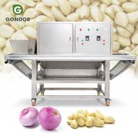 Éplucheuse de légumes professionnelle USA Tone pour oignon et ail, machine à éplucher les gousses d'ail pour Fx 128