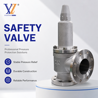 Válvula de Alivio de Presión de Acero Inoxidable Tipo Ángulo DN80 para Nitrógeno Líquido con Brida, Precio Competitivo
