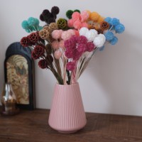 Gereduceerde prijs Natuurlijke Enkelstammige Scabiosa Gedroogde Windmolenbloem Esthetisch Bloemdecoratie voor Feest Huisdecoratie