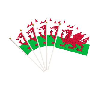 เสาพลาสติกขนาดเล็กแบบถือธง20X30cmMini 14X21cm ในสต็อก - Product Image 3