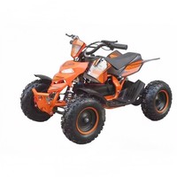 Factory Direct 500W Electric Beach Car New 49cc Go Karts avec 36V 4 Stroke Small Arctic Off-Road Buggy Certifié pour les enfants