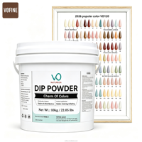 Kit de poudre à ongles VOFINE Custom VE-8D, poudre acrylique pour ongles, sans TPO, sans HEMA, poudre acrylique en vrac, ensemble de poudre à tremper