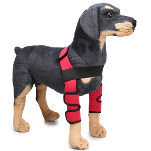<span class=keywords><strong>Rodillera</strong></span> de doble articulación para perros pequeños <span class=keywords><strong>con</strong></span> barra de soporte metálica, reflectante, para recuperación postquirúrgica y protección anti-lamido - Product Image 5