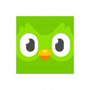 Cuenta Global de Duolingo, Duolingo Premium, Duolingo Super, 1 Año, 1, 3, 6, 12 Meses, Vincula tu Cuenta - Product Image 3