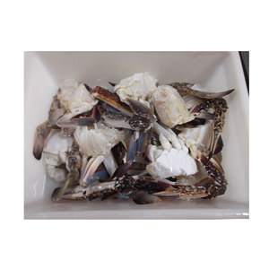 Matériaux purs et naturels <span class=keywords><strong>de</strong></span> qualité professionnelle Coupe <span class=keywords><strong>de</strong></span> <span class=keywords><strong>crabe</strong></span> congelé Viande <span class=keywords><strong>de</strong></span> <span class=keywords><strong>crabe</strong></span> fraîche en gros - Product Image 6