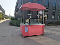 Chariot à glaces portable, chariot à gelato mobile à vendre, chariot de vente de glaces commercial, chariot à pousser personnalisable pour événements en plein air