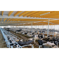 Perchas para pollos con estructura de marco de acero, diseño de aves de corral, pollo prefabricado, vaca, granja, cobertizo de construcción