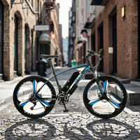 Vélo électrique de montagne à gros pneus haute performance de 26 pouces avec moteur arrière 36V 250W/500W cadre en acier à batterie au Lithium 36V